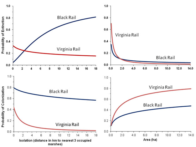 Metapopulation Graphs