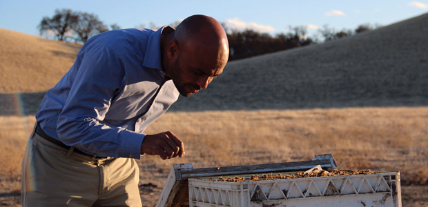 Solomon visits his beehives in Northern California. PHOTO: Molly Oleson