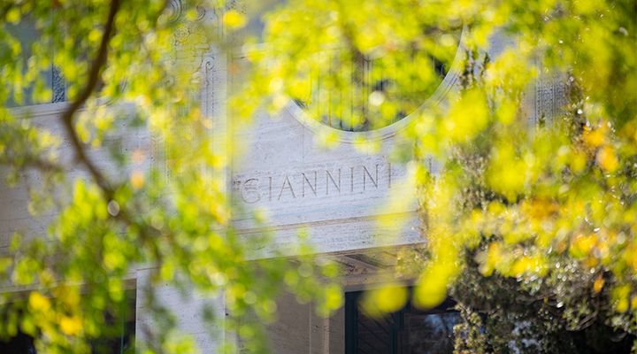 Giannini hall with colorful yellow leaves