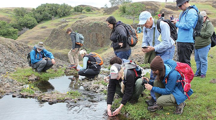 people gathering samples at a river