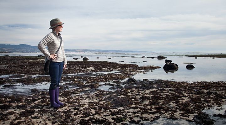 A person standing at tide pools looking out into the ocean
