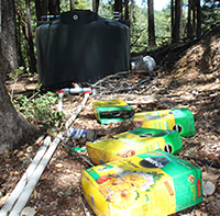 A study being led by Nature Conservancy researchers and UC Berkeley faculty—including fish ecologist <strong>Stephanie Carlson</strong>, associate professor of environmental science, policy, and management (ESPM)—has emphasized that a key victim of illegal marijuana production is California’s environment, particularly in sensitive watersheds already stressed by the state’s ongoing drought. <cite>Northern California’s Eel River</cite> PHOTO: Stephanie Carlson